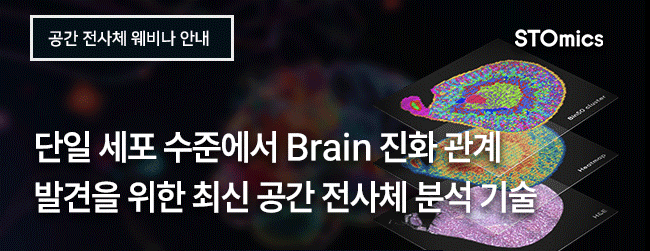 비엠에스