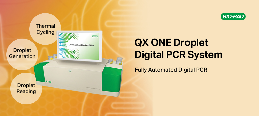 모바일 메인 비주얼1