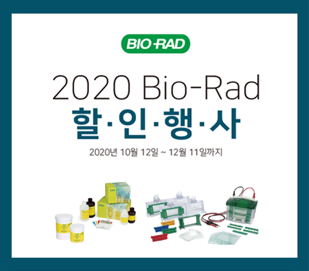게시글 썸네일