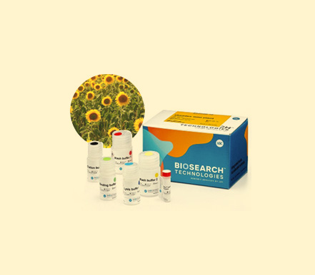 8시간 내에 최대 4,000개의 Plant DNA 추출 가능! sbeadex Plant DNA Purification Kits with OKtopure