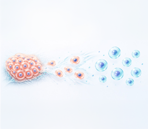 [Omics View] 고품질 Single-cell 데이터의 시작, Tissue Dissociation | Vol.8
